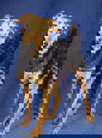 Milja_4.jpg