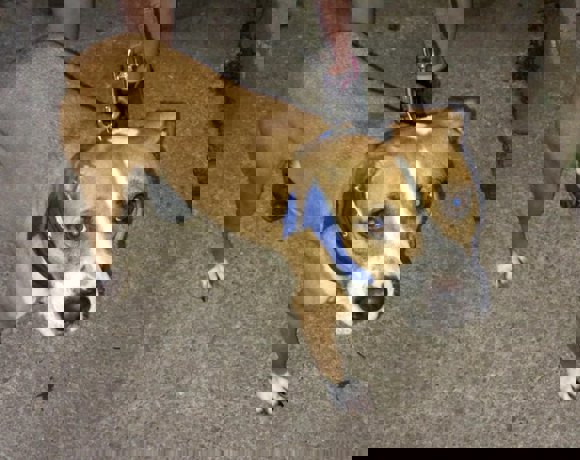 Barney_2.jpg (7)