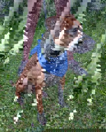 Barney_4.jpg (7)