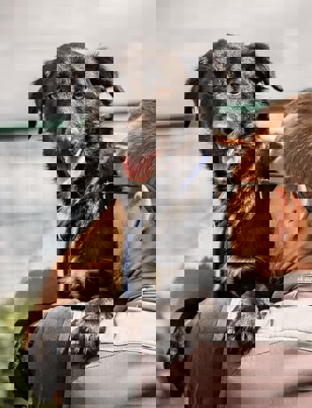 Morris_4.jpg (3)