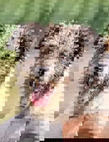 Debbie_4.jpg (3)