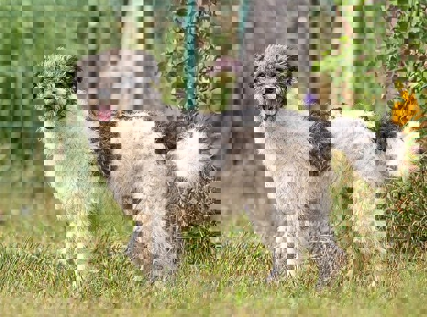 Debbie_2.jpg (3)