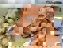 Joshua_4.jpg (5)