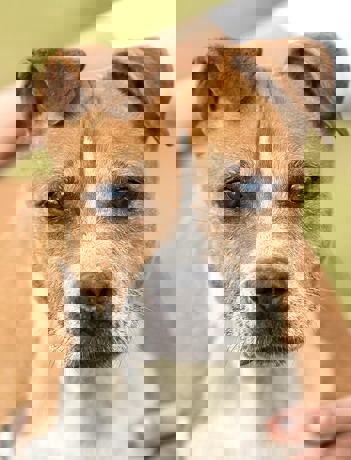 Blanche_1.jpg (3)