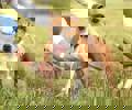 Blanche_3.jpg (2)
