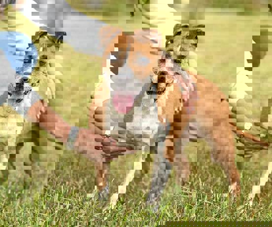 Blanche_3.jpg (2)
