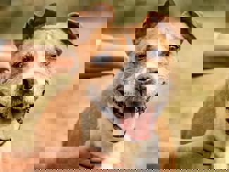 Blanche_4.jpg (2)