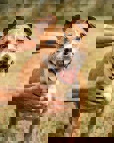 Blanche_4.jpg (2)