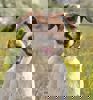 WEndy_4.jpg (1)