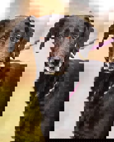 Glynn_1.jpg (1)