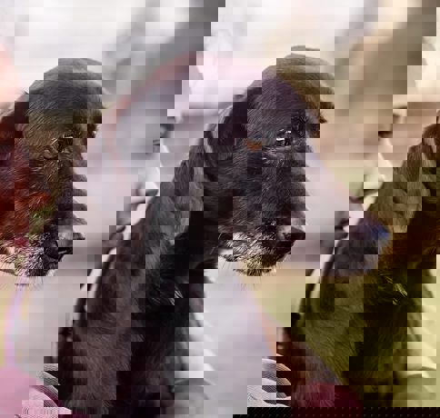 Glynn_3.jpg (1)