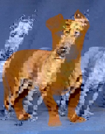 Samuel_1.jpg (1)