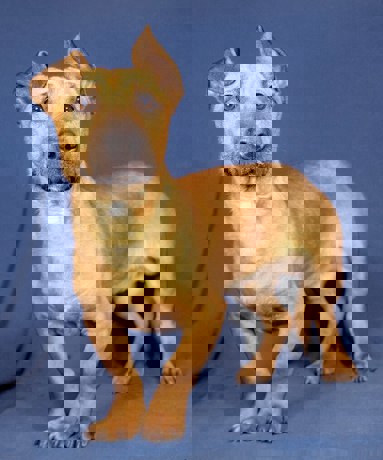 Samuel_2.jpg (1)