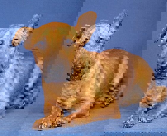 Samuel_4.jpg (1)