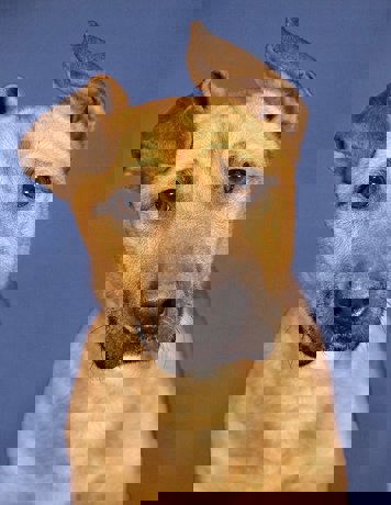 Samuel_3.jpg (1)