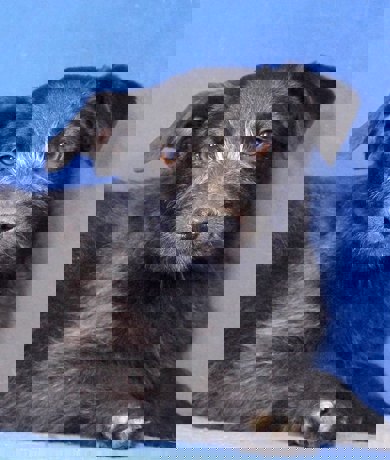 Jeremy_1.jpg (4)