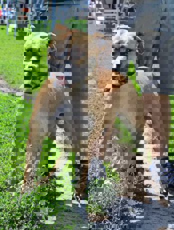 Luke_4.jpg (3)