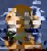 Oliver_2.jpg (6)