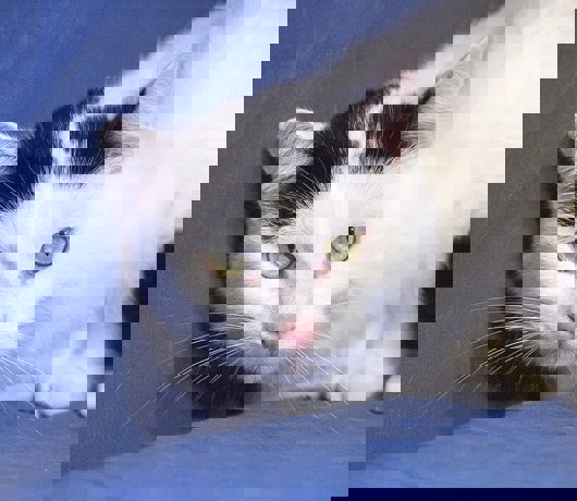 Windy_4.jpg (4)