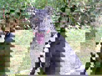 Kody_1.jpg (6)