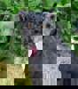 Kody_3.jpg (6)