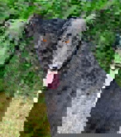 Kody_3.jpg (6)