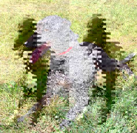 Kody_4.jpg (5)