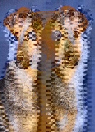Lara_3.jpg (5)