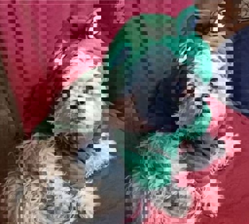 Becky_Minnie_4.jpg