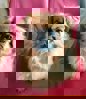 Becky_Minnie_3.jpg