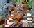 Spike_4.jpg (2)