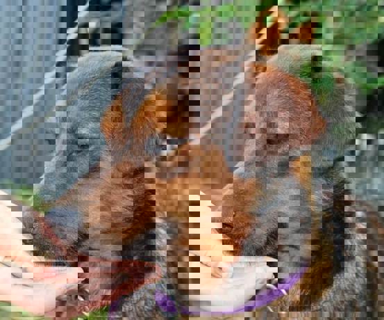 Spike_4.jpg (2)