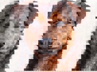 Spike_1.jpg (3)
