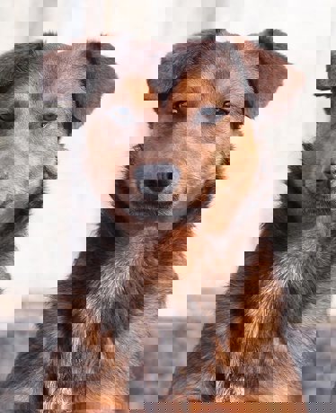 Spike_1.jpg (3)