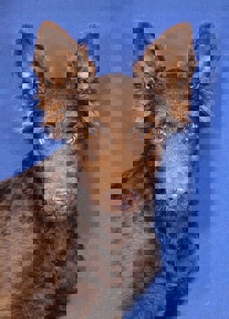 Larry_2.jpg (7)