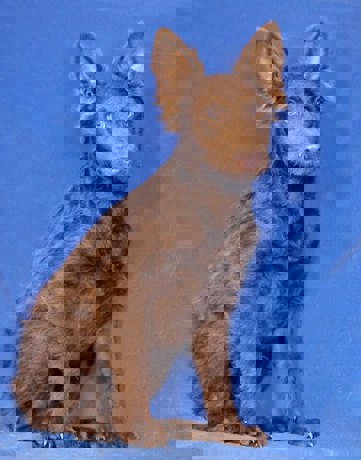 Larry_3.jpg (7)