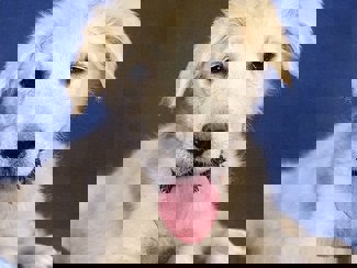 Brenda_1.jpg (3)