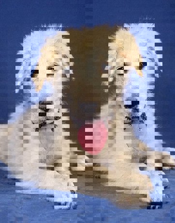Brenda_1.jpg (3)