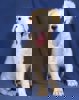 Brenda_3.jpg (3)