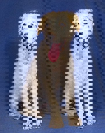 Brenda_3.jpg (3)