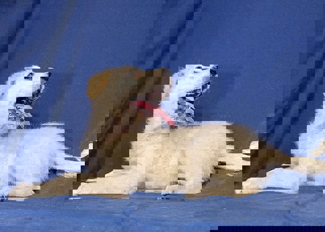 Brenda_4.jpg (3)