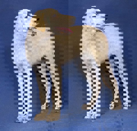 Betty_2.jpg (2)