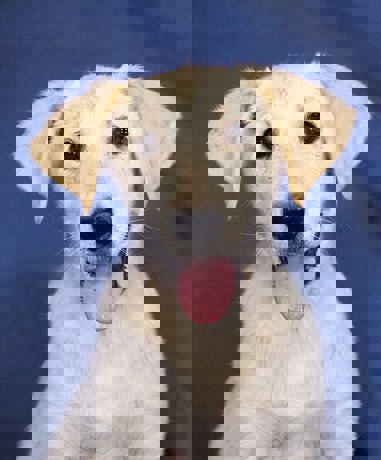 Betty_4.jpg (2)