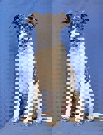 Endy_1.jpg