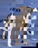 Endy_2.jpg