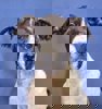 Endy_3.jpg
