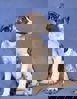 Endy_4.jpg