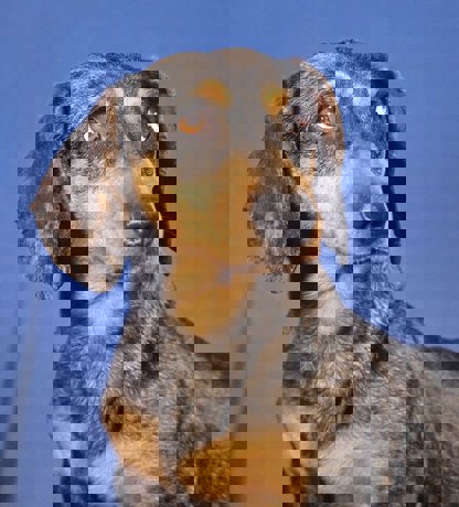 Cassandra 3