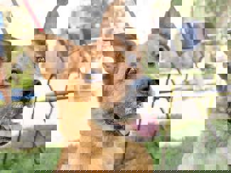 Odin 1